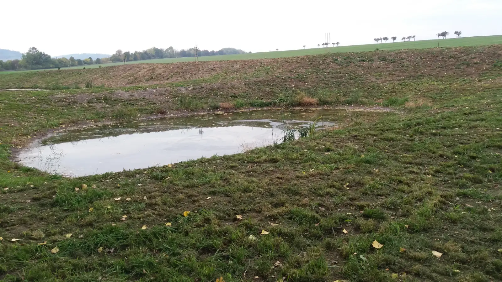 malá tůň 