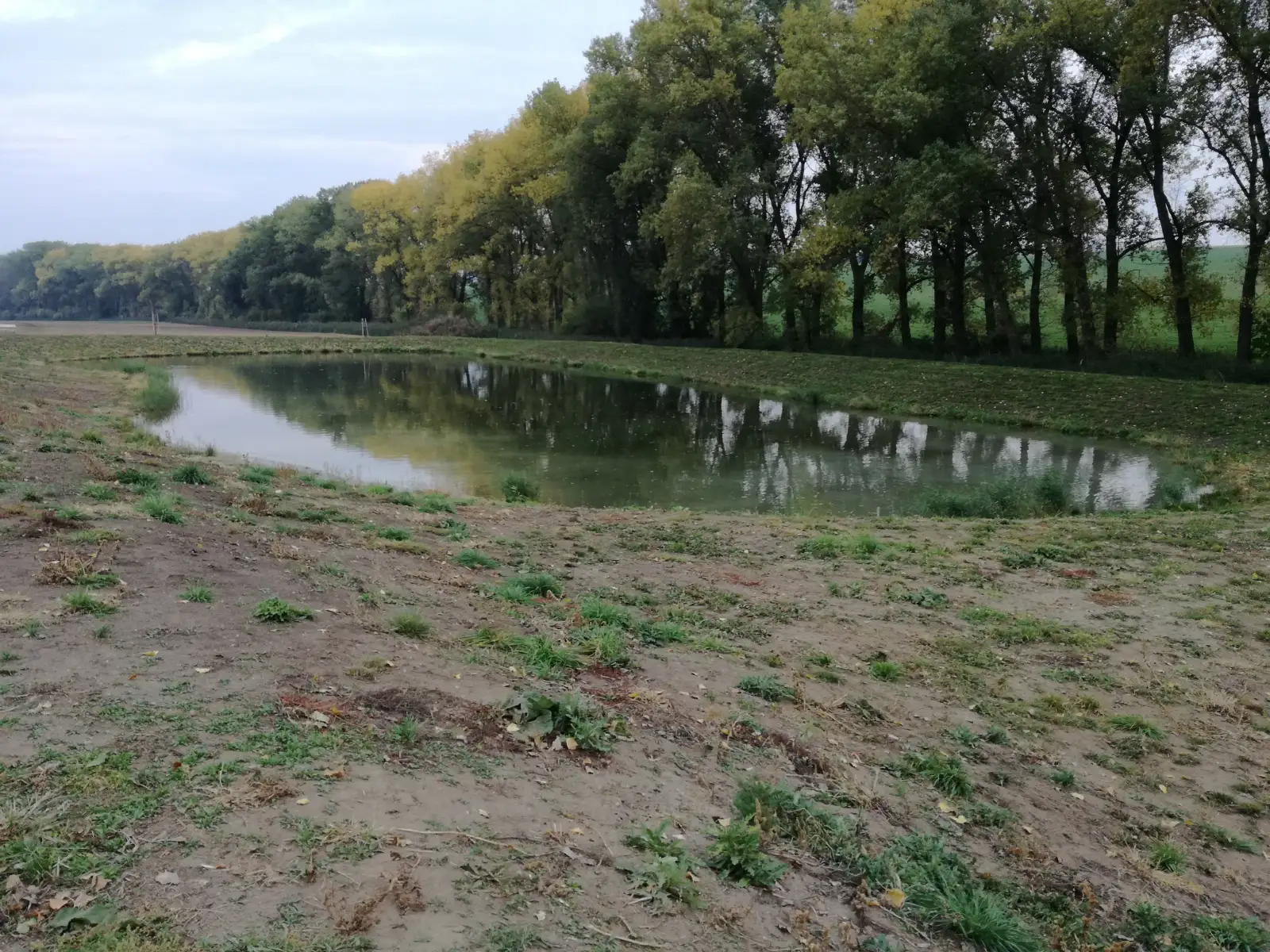 finální podoba