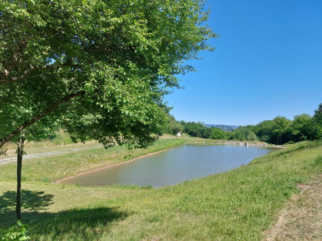Rybník Lysice Badalky